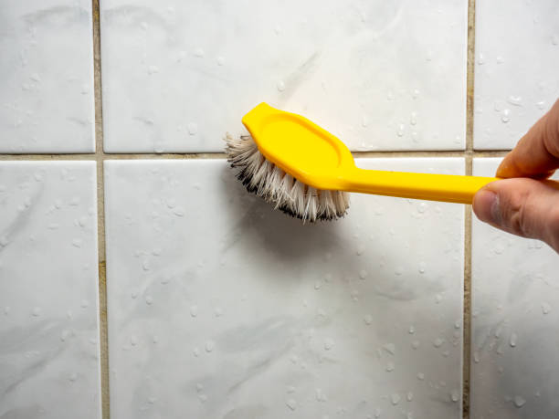 Best Local Mold Removal Service  in Key Biscayne, FL