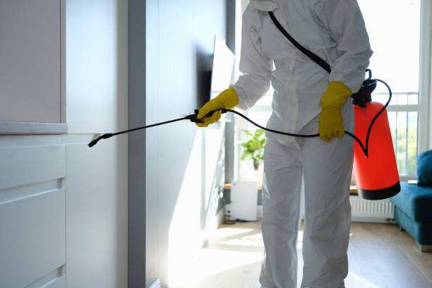 Best Emergency Mold Removal  in Key Biscayne, FL